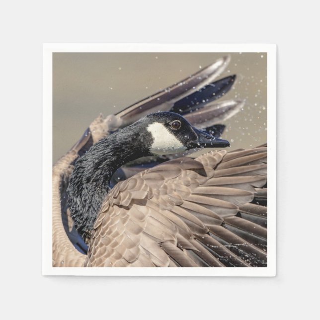 Servilleta De Papel Canada Goose (Anverso)