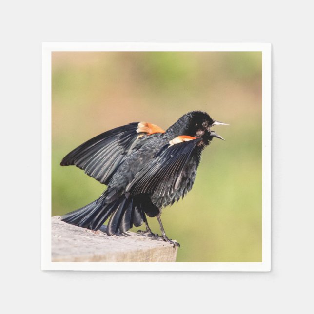 Servilleta De Papel Canto de Red Wingbird (Anverso)