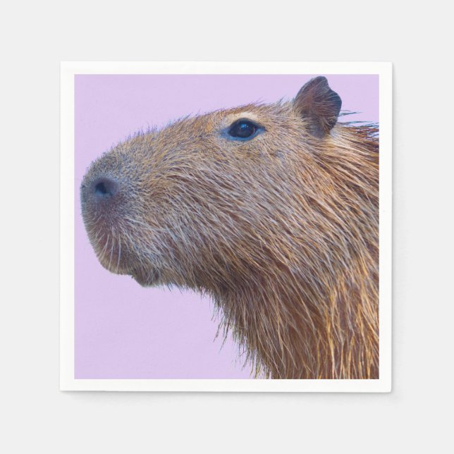 Servilleta De Papel Capibara (Anverso)