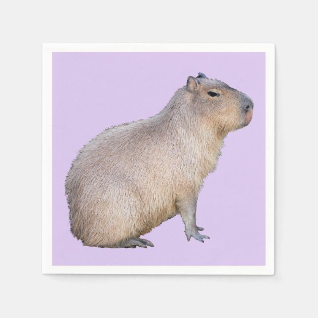 Servilleta De Papel Capibara (Anverso)
