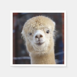 Servilleta De Papel Cara de alpaca linda        