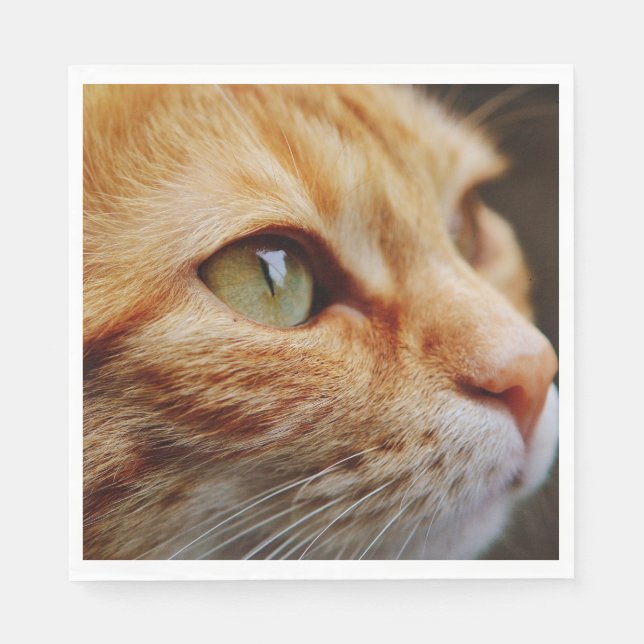 Servilleta De Papel Cara determinada de un gato jengibre (Anverso)