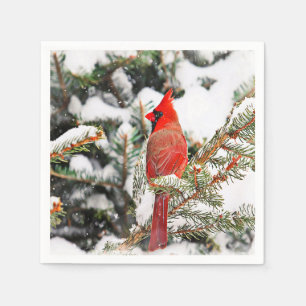 Servilleta De Papel Cardenal en un árbol de pino