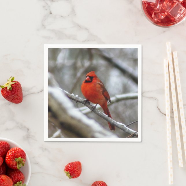 Servilleta De Papel Cardenal masculino (In situ)