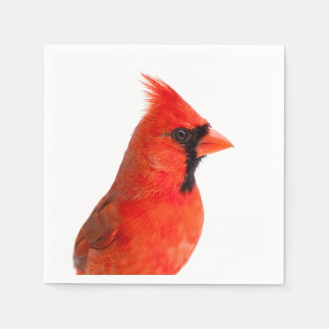 Servilleta De Papel Cardenal rojo Bird (Anverso)