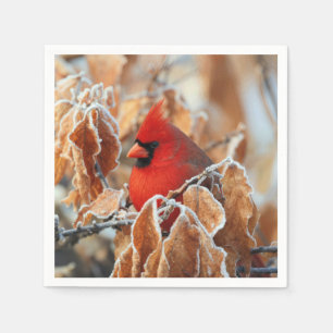 Servilleta De Papel Cardenal Rojo en Hojas de Otoño Heladas