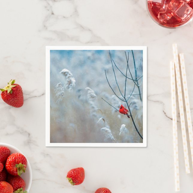 Servilleta De Papel Cardenal rojo en Navidades de fotografía de natura (In situ)