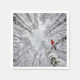 Servilleta De Papel Cardenal Rojo en un Bosque de Abedules Blancos de