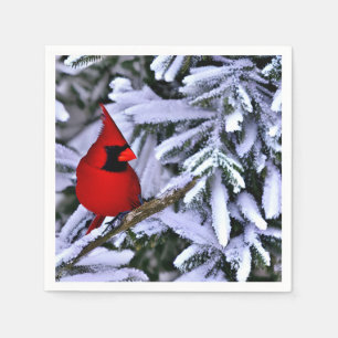 Servilleta De Papel Cardenal rojo invernal