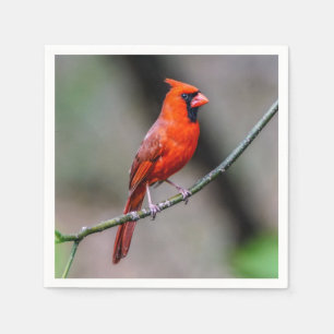 Servilleta de papel cardinal