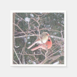 Servilleta De Papel Cardinal Cocktail Napkins