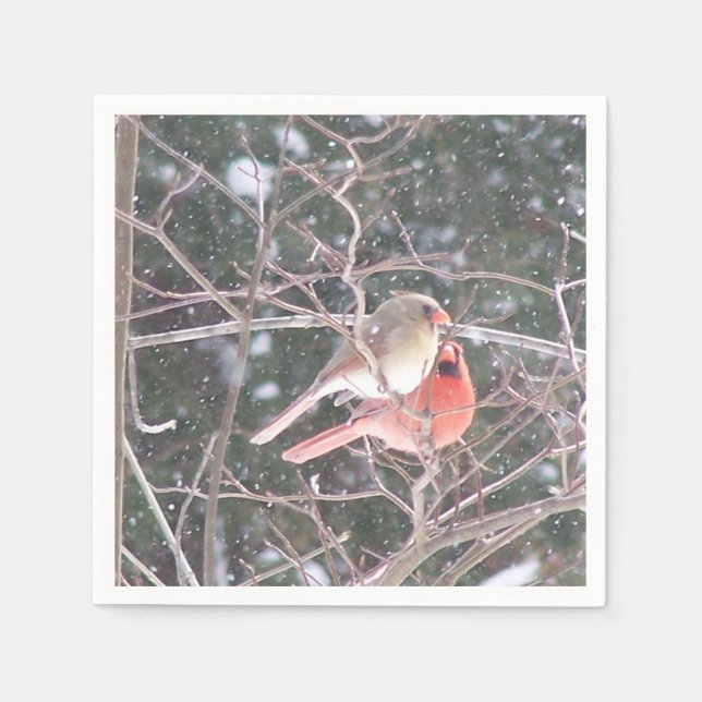 Servilleta De Papel Cardinal Cocktail Napkins (Anverso)