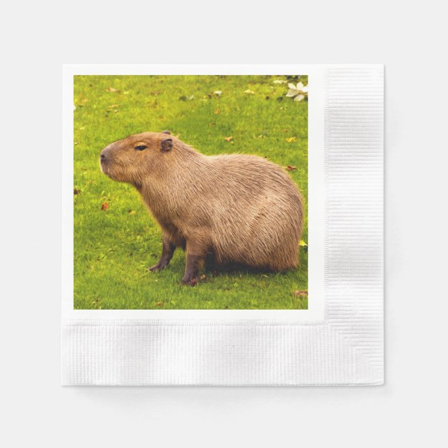 Servilleta De Papel Carpincho (Anverso)