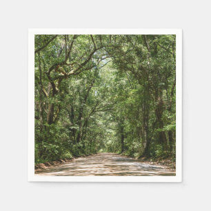 Servilleta De Papel Carretera A Angel Oak
