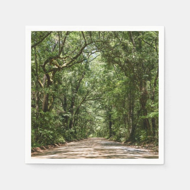 Servilleta De Papel Carretera A Angel Oak (Anverso)