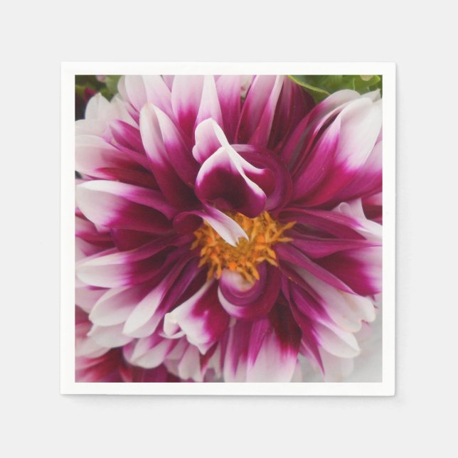 Servilleta De Papel Cartheuserin (Anverso)