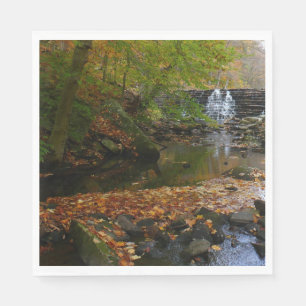 Servilleta De Papel Cascada de otoño y arroyo Pennsylvania Naturaleza