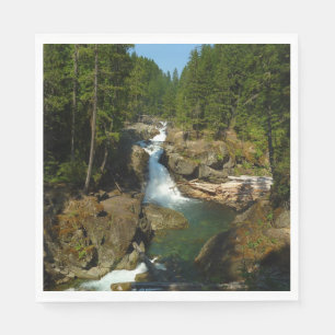 Servilleta De Papel Cascada de Plata en el Parque Nacional Mount Raini