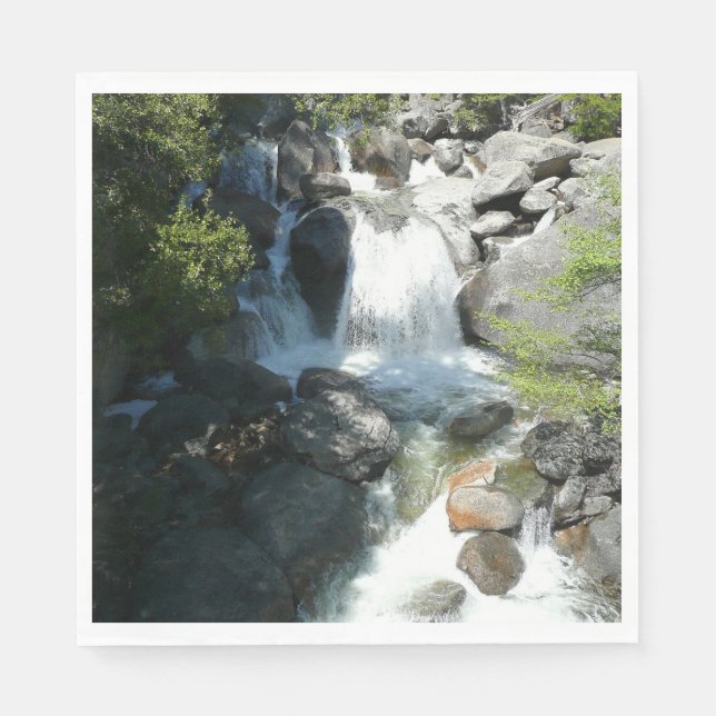 Servilleta De Papel Cascada en el Parque Nacional Yosemite (Anverso)