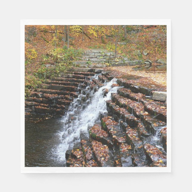 Servilleta De Papel Cascada en Laurel Hill State Park II (Anverso)
