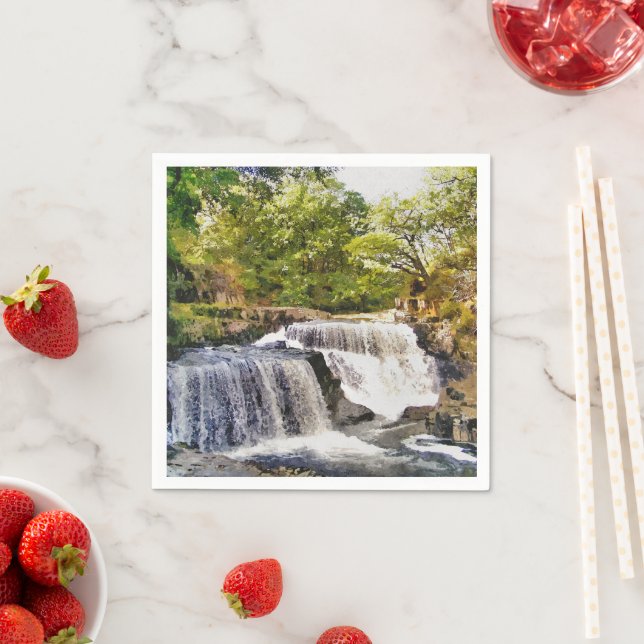 SERVILLETA DE PAPEL CATARATAS (In situ)