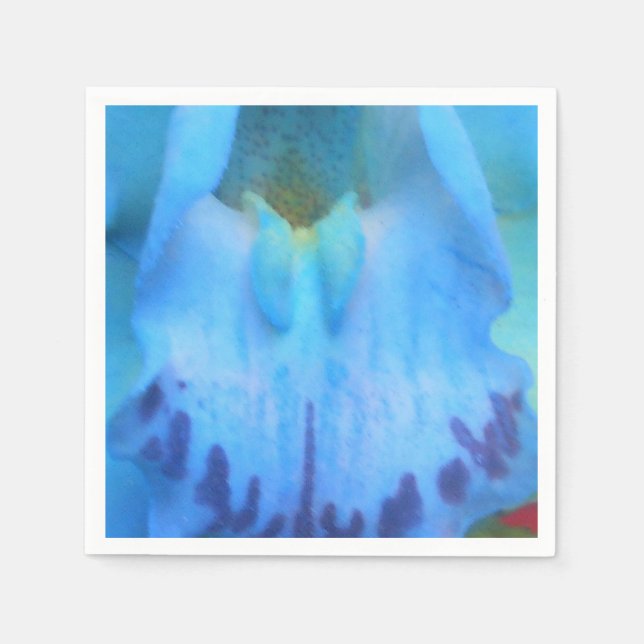 Servilleta De Papel Catelijne (Anverso)