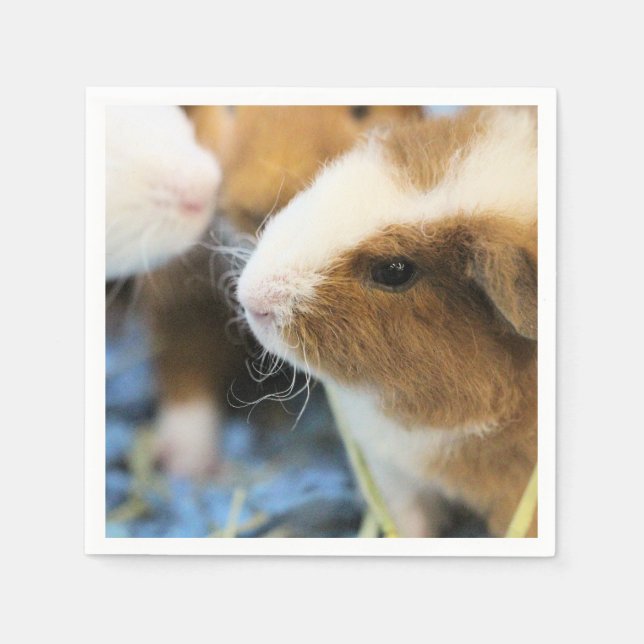 Servilleta De Papel Cerdo (Anverso)