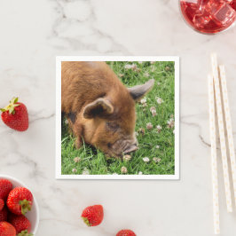 SERVILLETA DE PAPEL CERDO CUTIDO