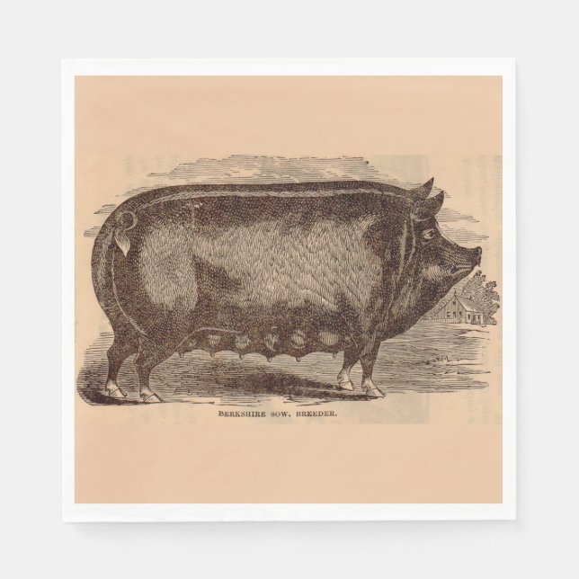 Servilleta De Papel Cerdo de la raza Berkshire n.º 1 del siglo XIX imp (Anverso)