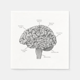 Servilleta De Papel Cerebro científico
