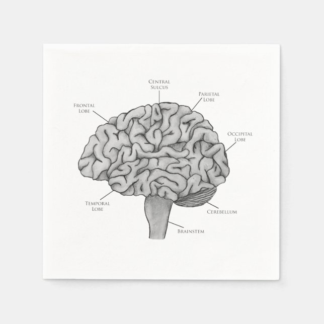 Servilleta De Papel Cerebro Científico (Anverso)