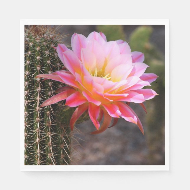 Servilleta De Papel Cereus en flor de cactus rosado (Anverso)
