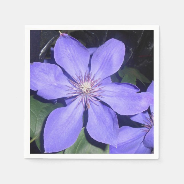 Servilleta De Papel Césarine (Anverso)