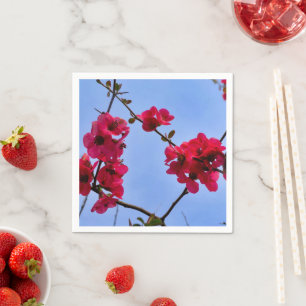 Servilleta De Papel Chaenomeles speciosa Papel Napkins