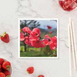 Servilleta De Papel Chaenomeles speciosa Papel Napkins