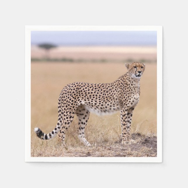 Servilleta De Papel Cheetah (Anverso)