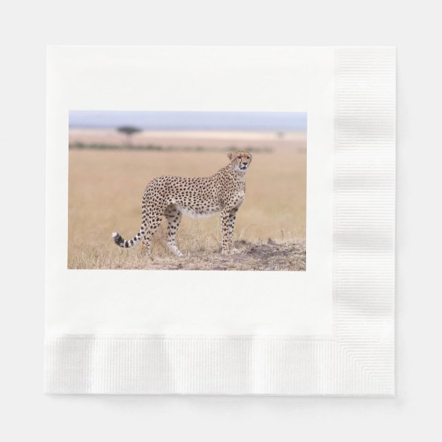 Servilleta De Papel Cheetah (Anverso)