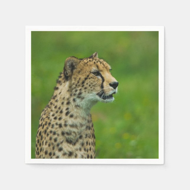Servilleta De Papel Cheetah On A Lookout (Anverso)