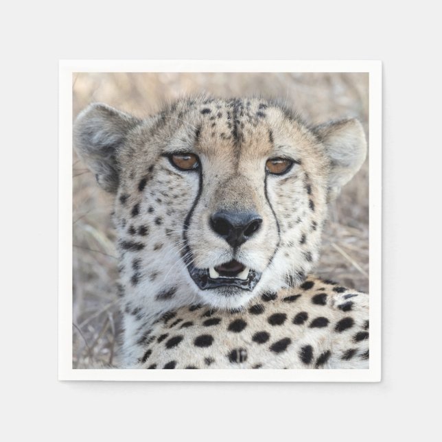 Servilleta De Papel Cheetah Portrait (Anverso)
