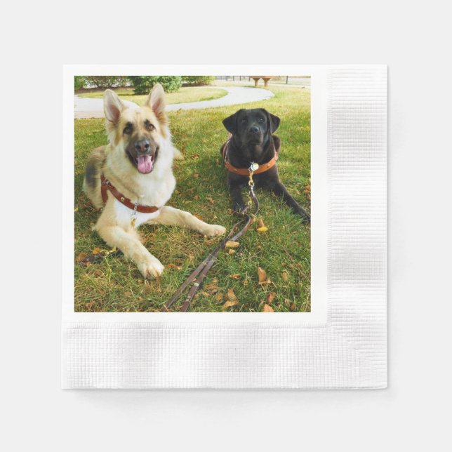 Servilleta De Papel Chicas de trabajo (Anverso)