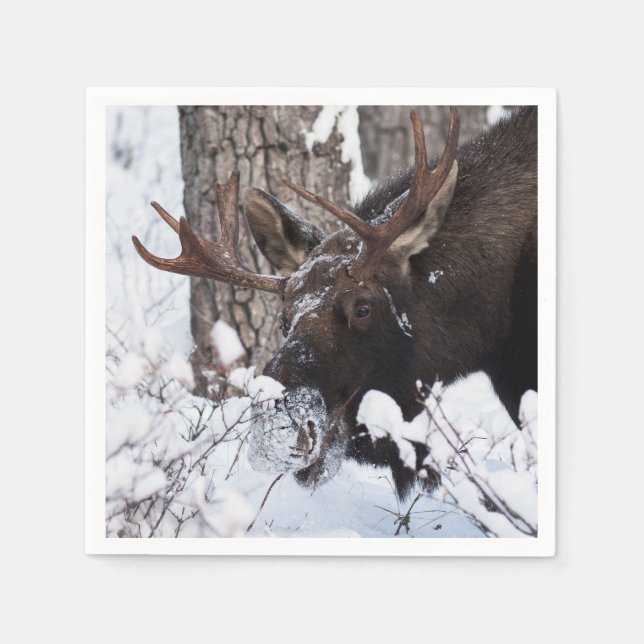 Servilleta De Papel Chilly Moose (Anverso)