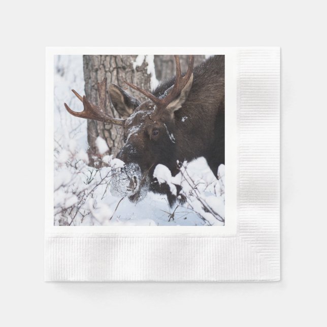 Servilleta De Papel Chilly Moose (Anverso)
