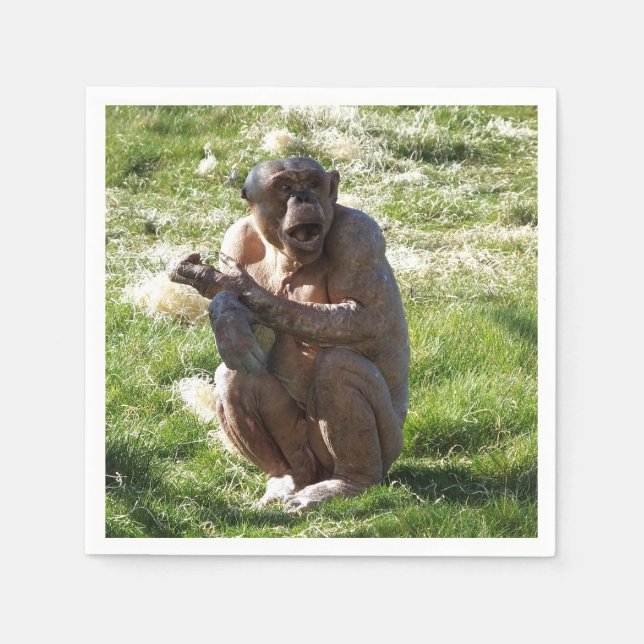 SERVILLETA DE PAPEL CHIMPANZEE (Anverso)
