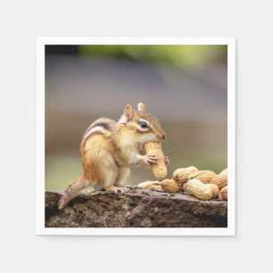Servilleta De Papel Chipmunk comiendo un maní