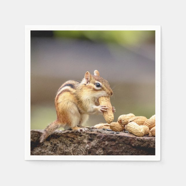 Servilleta De Papel Chipmunk comiendo un maní (Anverso)