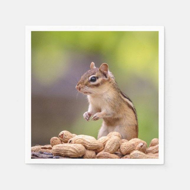 Servilleta De Papel Chipmunk con cacahuetes (Anverso)