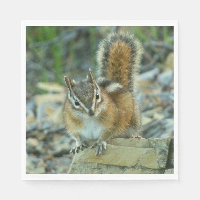 Servilleta De Papel Chipmunk en el Parque Nacional Glaciar (Anverso)