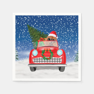 Servilleta De Papel Chow Chow Perro Conductor Auto En Nieve