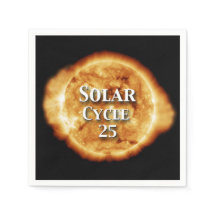 Ciclo solar 25 Sol activo