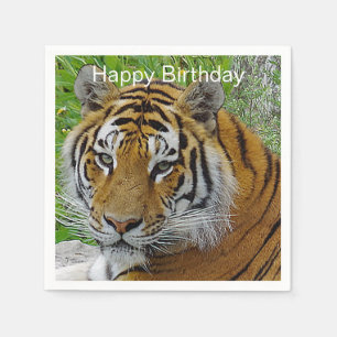 Servilleta De Papel Cierre del tigre siberiano foto de cara